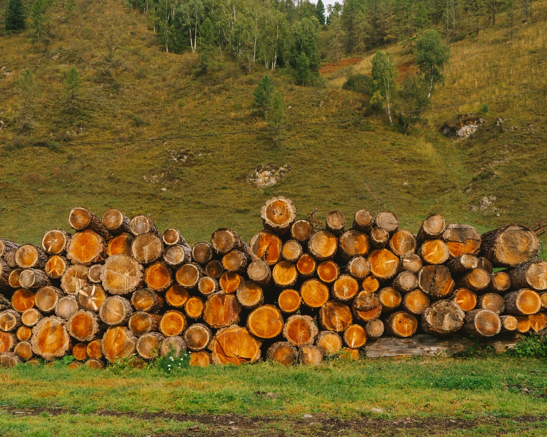 Checkmk Raw, how to use Checkmk Raw, Checkmk Raw snapshot and restore workflow