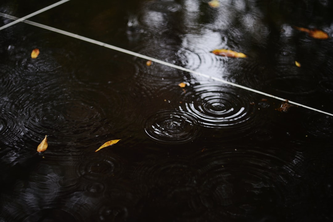 Rainloop, how to use Rainloop, Rainloop snapshot and restore workflow