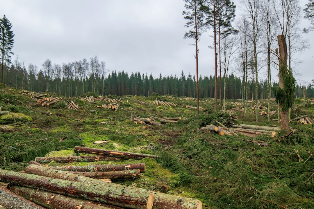 Zabbix, how to use Zabbix, Zabbix snapshot and restore workflow