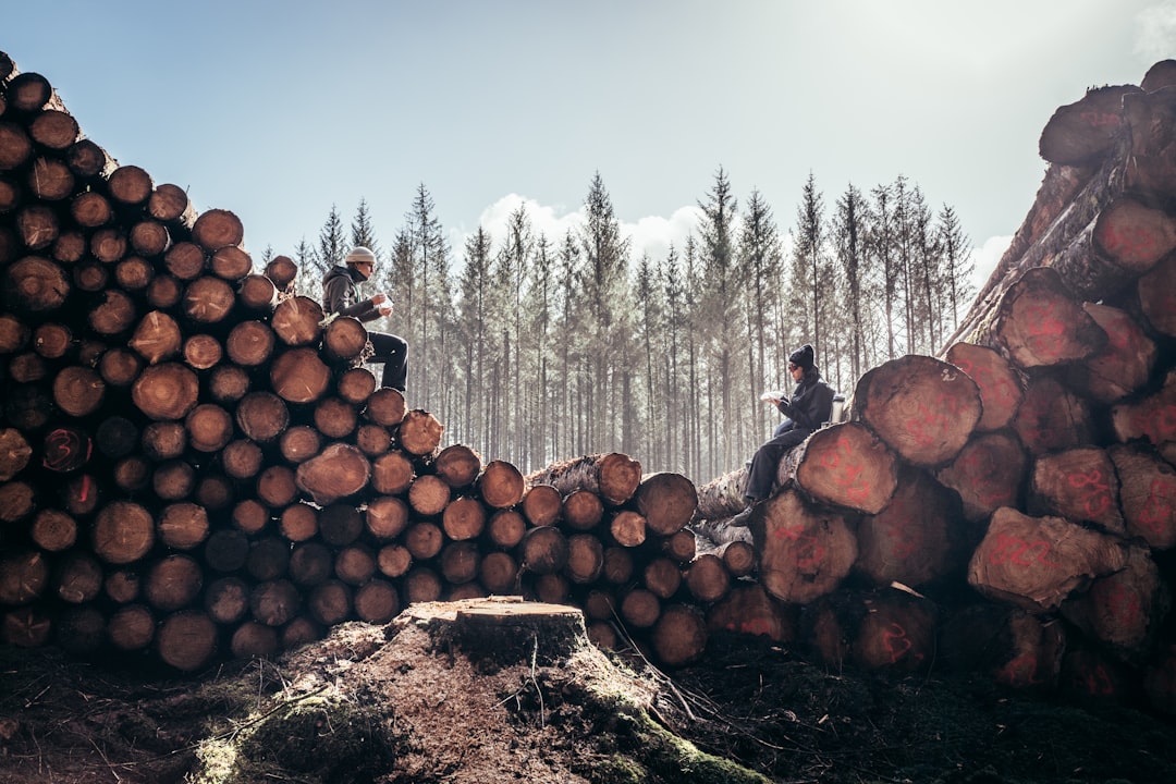 Netdata, how to use Netdata, Netdata snapshot and restore workflow