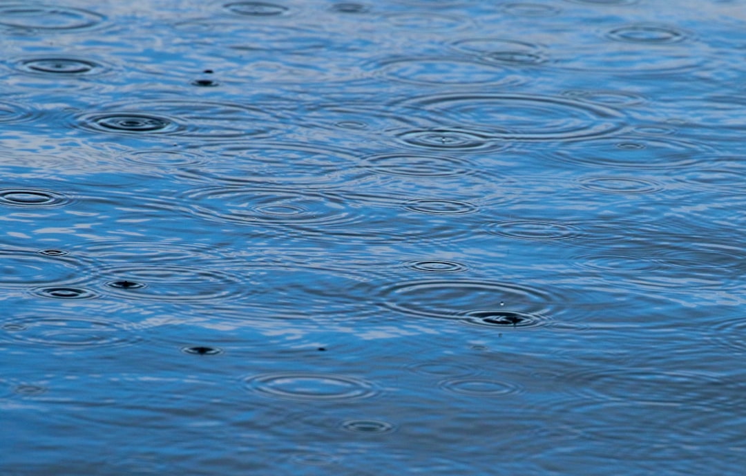 Rainloop, how to use Rainloop, Rainloop snapshot and restore workflow