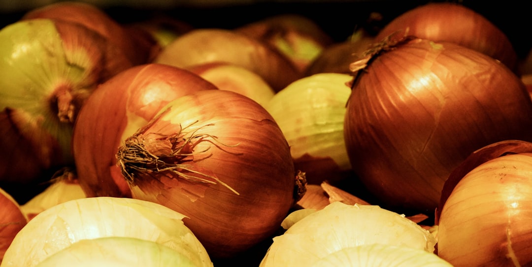 Security Onion, how to use Security Onion, Security Onion snapshot and restore workflow