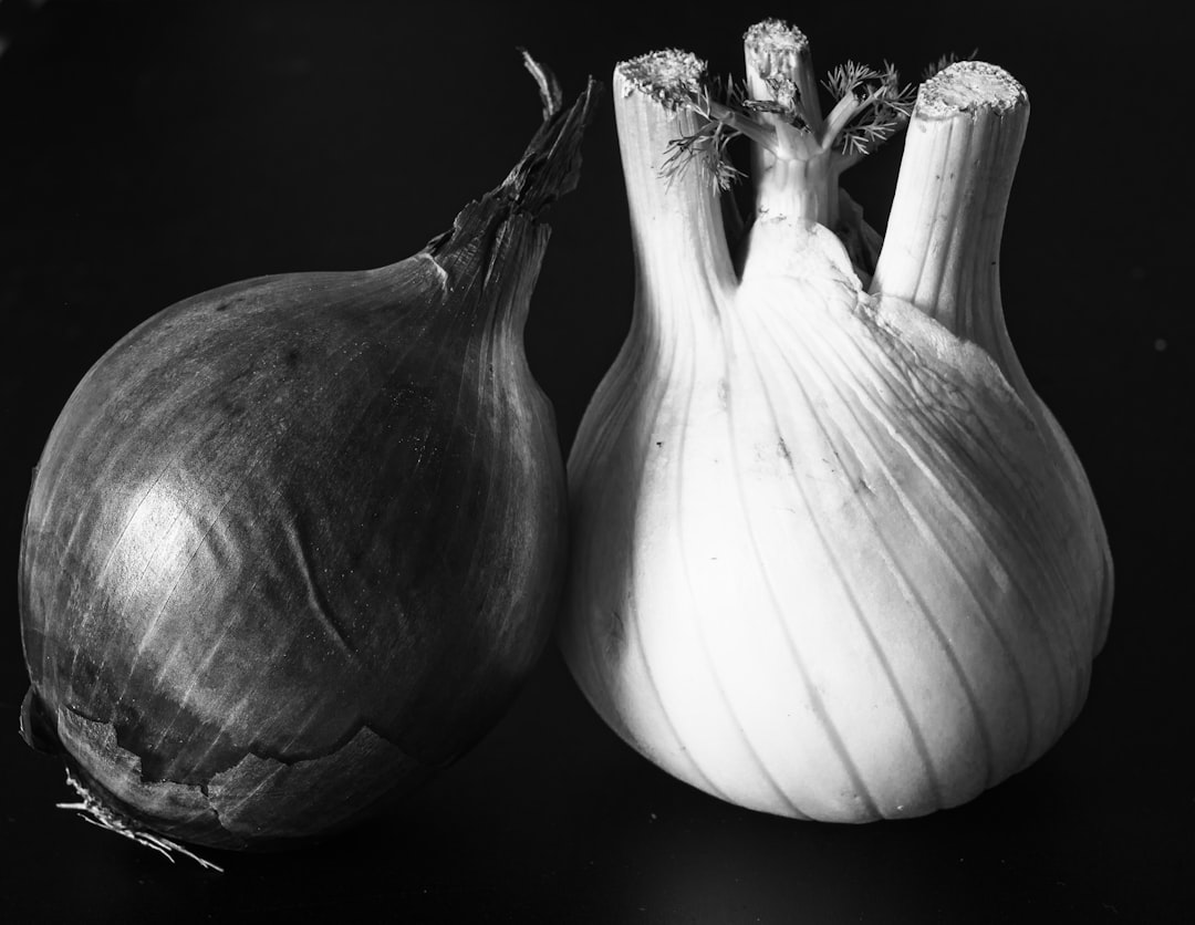 Security Onion, how to use Security Onion, Security Onion snapshot and restore workflow