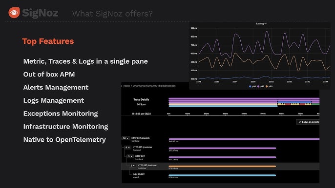 SigNoz, how to use SigNoz, SigNoz snapshot and restore workflow
