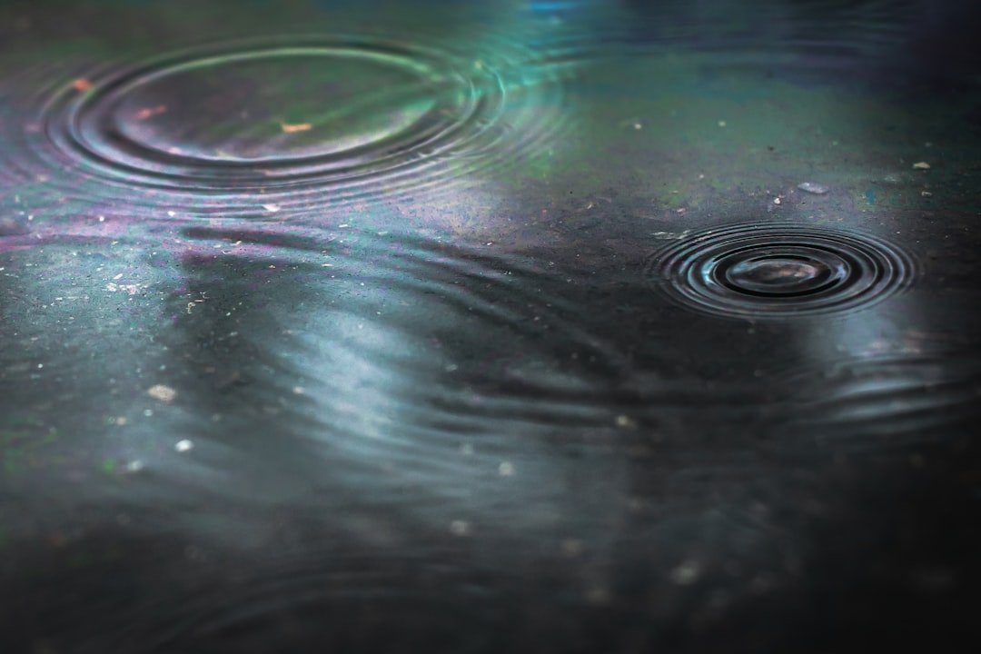 Rainloop, how to use Rainloop, Rainloop snapshot and restore workflow