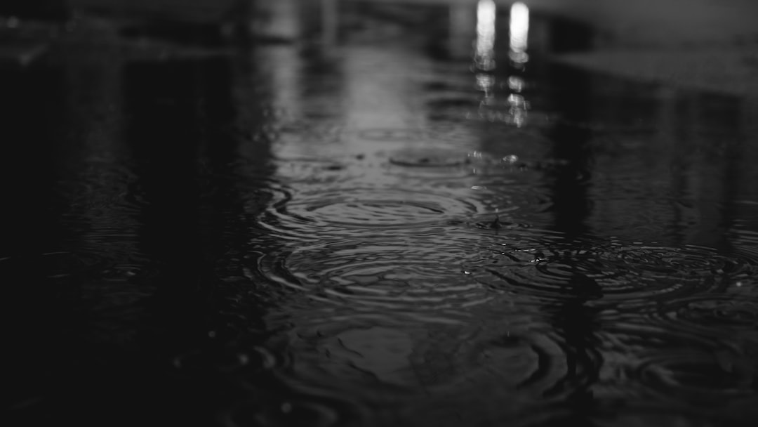 Rainloop, how to use Rainloop, Rainloop snapshot and restore workflow