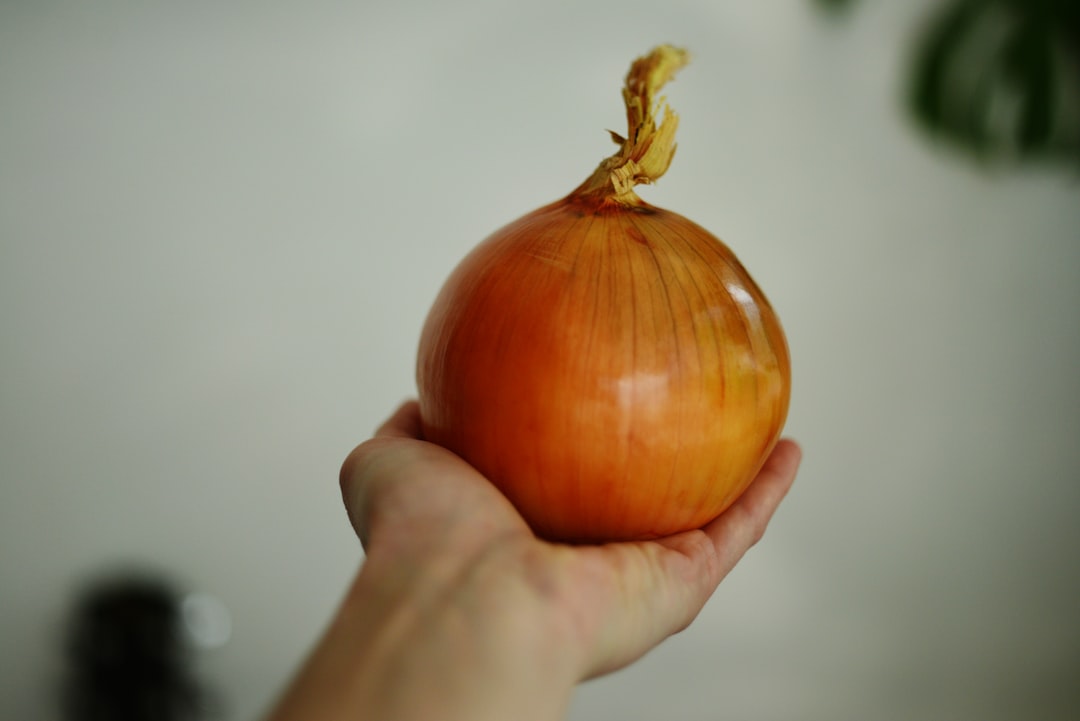 Security Onion, how to use Security Onion, Security Onion snapshot and restore workflow