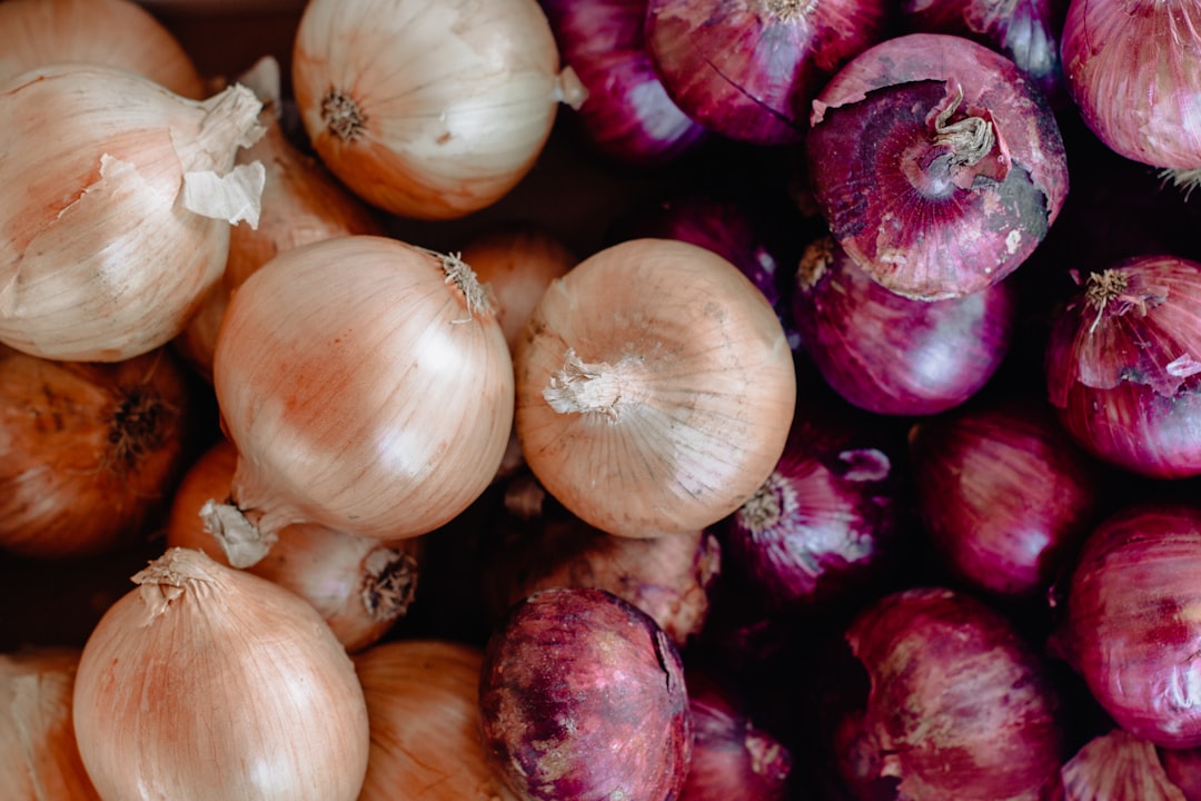 Security Onion, how to use Security Onion, Security Onion snapshot and restore workflow