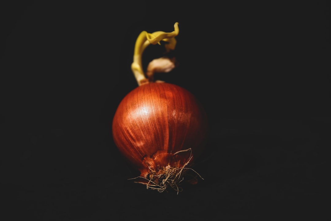 Security Onion, how to use Security Onion, Security Onion snapshot and restore workflow