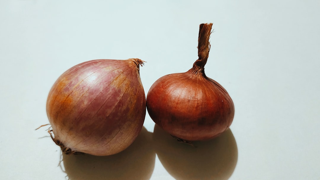 Security Onion, how to use Security Onion, Security Onion snapshot and restore workflow
